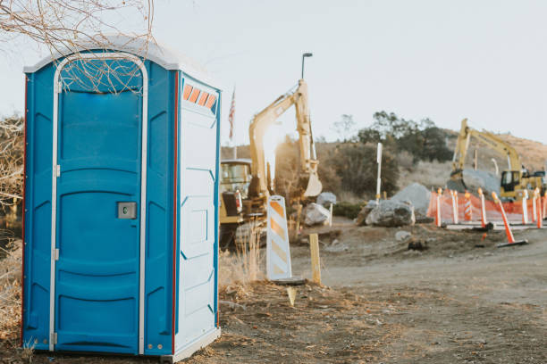 Best Porta potty delivery and setup  in Edneyville, NC