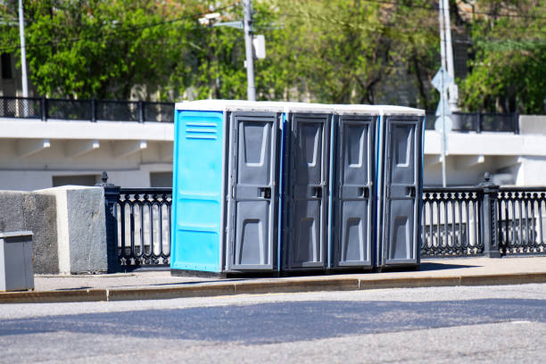 Best High-end porta potty rental  in Edneyville, NC